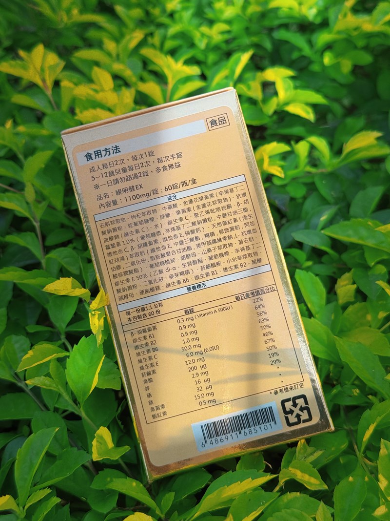 試用